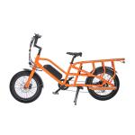 48V 500W/750W/1000W Bafang Motor Dual Battery E Cargo Bike for Adult Electric
