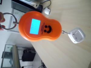 Wholesale CE hanging balance Portable scale safety plastic Travel Weighing Scales from china suppliers