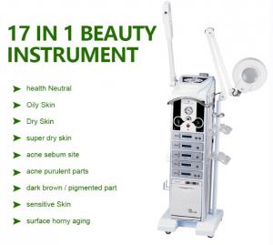 Wholesale BIO Esthetician Multifunction Spa Facial Beauty Machine 17 In 1 from china suppliers