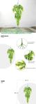 Palm Leaves Artificial Tropical Monstera-84Pcs 6 Kinds Large Small Green Fake