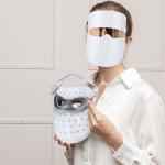Rechargeable PDT Led Face Mask Skin Care Red Light Led Facial Mask