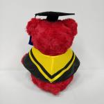 Soft Conformable Red Doctorial Hat Teddy Bear Plush Toys For Children