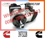 6745-71-1170 6745-71-1010 3973228 4954200 PC300-8 Engine SAA6d114 Qsc Excavator