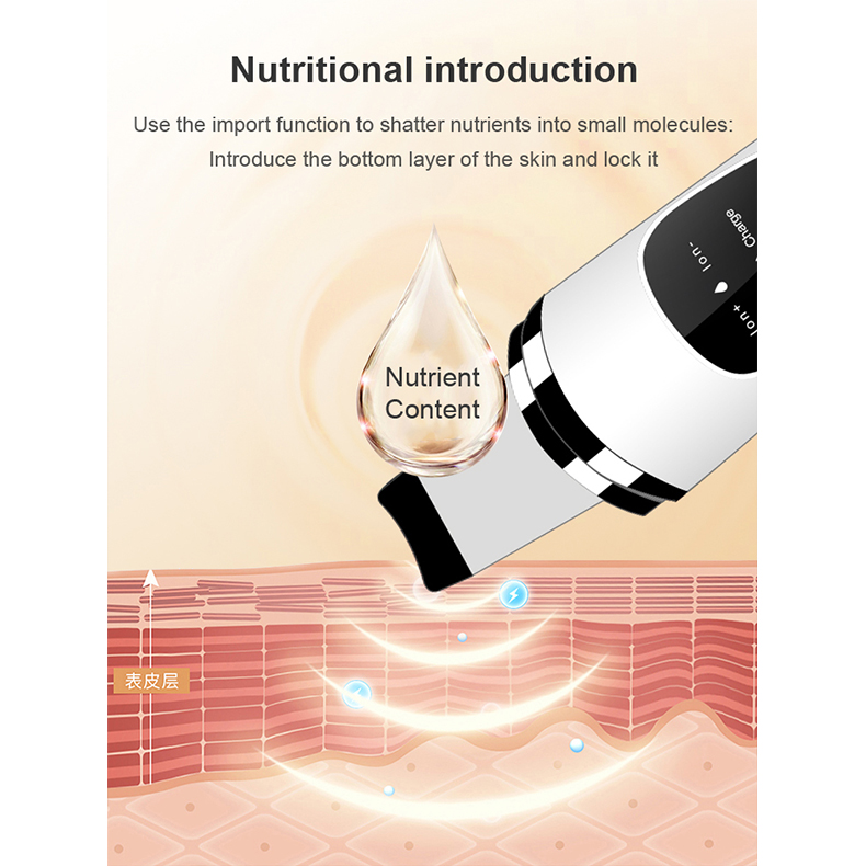 ABS Material Exfoliators Skin Scrubber Ultrasonic Vibration 24000Hz