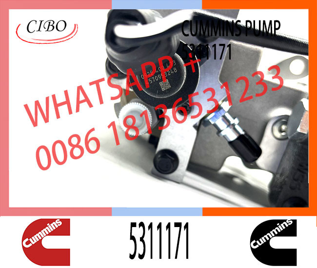 hinery Parts Diesel Fuel Injection Pump 5594766 3973228 5311171 For Cummins 6C8.3 ISL8.9 ISC ISL Engine
