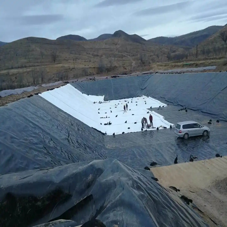 High Density Polyethylene HDPE Fish Farm Pond Plastic Liner Geomembranas Long-lasting