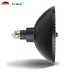 Anti UV monochrome Pool Lights Aluminum Substrate E26 PAR56 1700LM