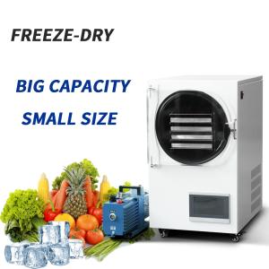 Wholesale Freezed Dryer Vacuum Machines Industrial Coffee Mushroom Food Lyofilizing from china suppliers