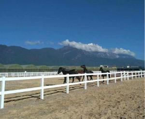 Wholesale Safety White Vinyl Fence Heavy Duty 2 Rail Horse PVC Farm Fence from china suppliers