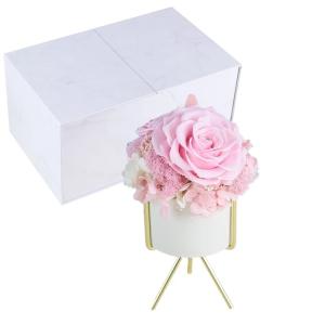 Wholesale New Arrival preserved flowers ornament luxury immortal rose gift for teacher/friend from china suppliers