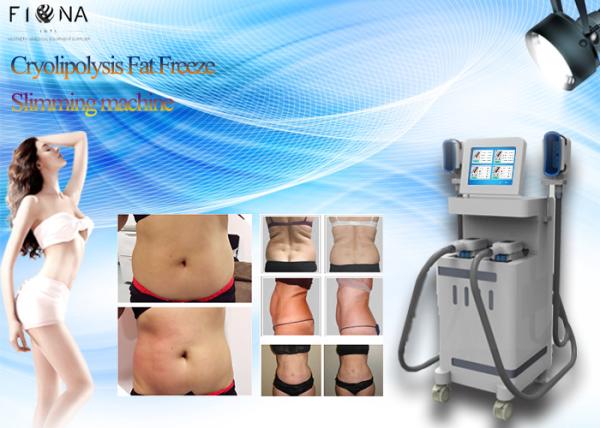 Micro Needle Fractional Rf Thermagic Skin Tightening Machines Skin Care CE