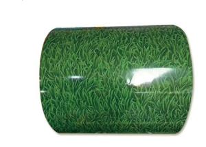 Wholesale 1200mm PPGI Steel Coil from china suppliers