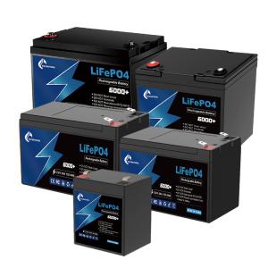 Wholesale Rechargeable 12V LiFePo4 Battery 10ah To 100ah Lifepo4 Battery Pack from china suppliers