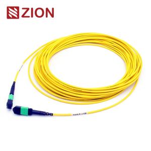 Wholesale 24 Fibers MTP Patch Cord Female To Female Singlemode 3.0mm LSZH from china suppliers