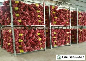 Wholesale Round Shape Sweet Yellow Onion No Pesticide Residues Without Pollution from china suppliers