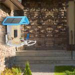 Bird Feeder House AI Recognize Bird Species Smart Outdoor Garden Wildlife Bird