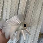 Customized 1 Meter/2 Meters Photovoltaic Solar Panel Cleaning Brushes With
