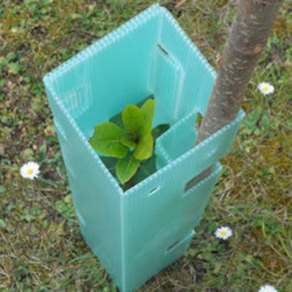 Polypropylene Corrugated Carton Plastic Sheets Coroplast Packing Box