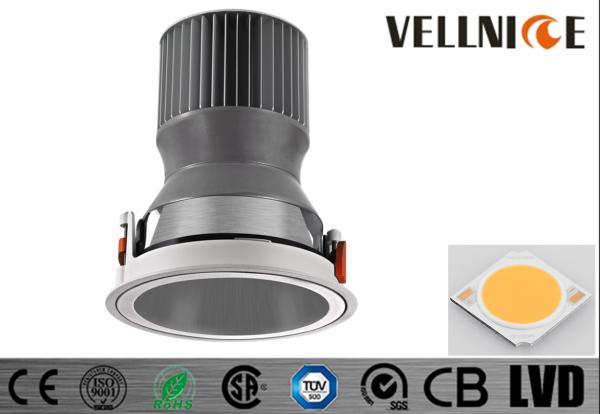 Aluminum Fixture Die Cast CITIZEN COB Round Spot 45W Dia 186*H220MM LED Lighting