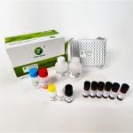 Fumonisin B1 Mycotoxin Testing Kits For Feed Peanut Maize 96 Wells/Kit Green