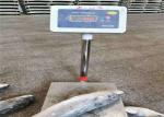 900g 1000g Mugil Cephalus Cephalus Gutted Frozen Grey Mullet