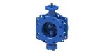 ANSI Standard Worm Gear Valve In Ductile Iron For Food / Beverage Industry