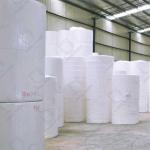 Soft And Strong Eco-Friendly Tissue Paper Affordable And High Quality Toilet