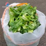 30KG Leaf vegetable dehydrator commercial fruit and vegetable dehydrator small