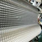 Soft 3D Holographic Film Moisture Proof Embossed BOPP Lamination Film