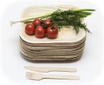 10" Disposable Square Areca Palm Leaf Plates With Fork Knife