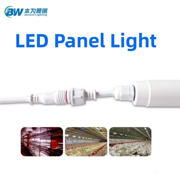 Poultry House Light Dimmers 18W 50000 Hours Lifespan 180degree Beam Angle 160LM