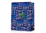 Laminated Retail Paper Shopping Bags For Gift Multi Colors Environment Friendly