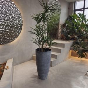 Wholesale Large Plastic Flower Planter For Indoor Outdoor Planting Succulent Decoration from china suppliers