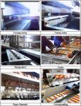 PAPER PVC BLISTER PACKING MACHINE TABLET TYPE BLISTER PACKING MACHINE FOR DAILY