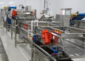 Wholesale Pre - Cooking Vegetable Blanching Equipment , Vegetable Canning Equipment from china suppliers