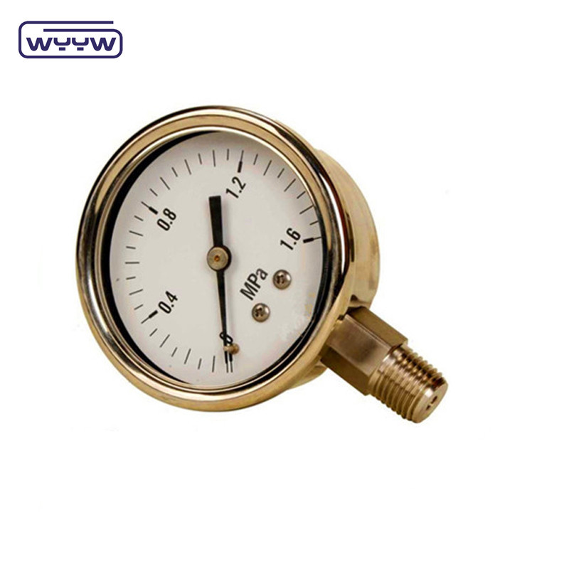 Stainless Steel Pressure Gauge Pressure 0 .. 1000 Bar Oil Filling Unavailable