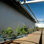 Stainless Steel Cable Mesh As Plant Climbing