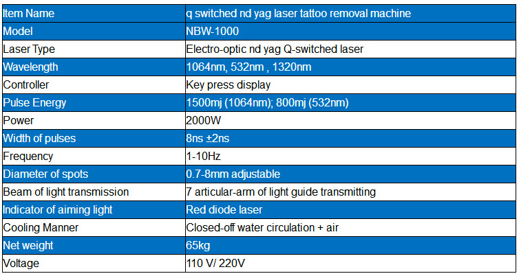 Q Switch Nd Yag Laser laser tattoo removal machine hire