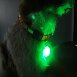Wholesale pet safety light with keychain from china suppliers