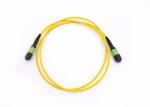 8F Female MPO To MPO Fiber Optic Cable Patch Cord With G657A1 / LSZH Cable