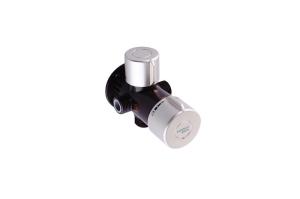Wholesale Brass Thermostatic Mixing Valve Wear - Resistant Double Switch For Shower from china suppliers