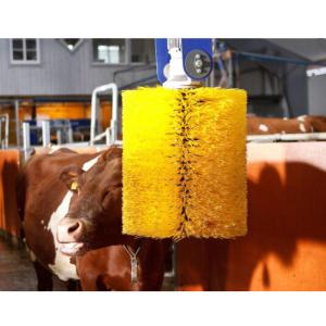 Wholesale Electric PLC Cattle Scratching Brush Rub For Cow Body Massage from china suppliers