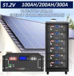Rack Mount LiFePO4 Home Solar Energy System Lithium Ion Battery Renewable 48V