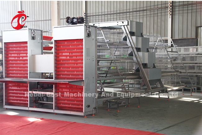 Poultry Farm Computer Control Automatic Chicken Cage Equipment Modern Sandy