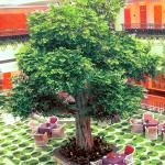 Real Touch Artificial Banyan Tree PU Evergreen Leaves Highly Simulated Trunk No