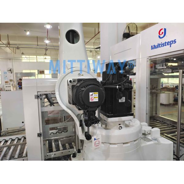 Safety Robotic Case Packer Case Packer Machine Operations