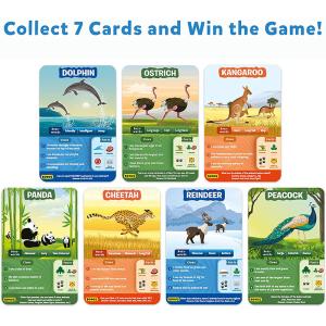 Wholesale Super Fun for Travel &amp; Family Game Night Custom design Wholesale OEM VN Supplier Playing cards from china suppliers