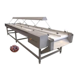 Wholesale Plum Nuts Palm Dates Inspection Conveyor Made of 304 Stainless Steel for Your Benefit from china suppliers