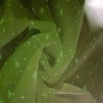 35gsm Crinkle Nylon Taslon Fabric 100 Nylon Taffeta Woven Luminous Fabrics