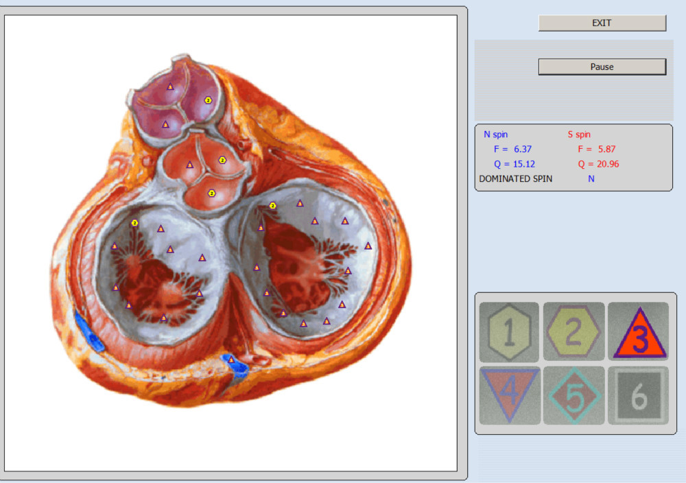 Super Health Analyzer Machine Body Analyzer Machine Support win7/8/10